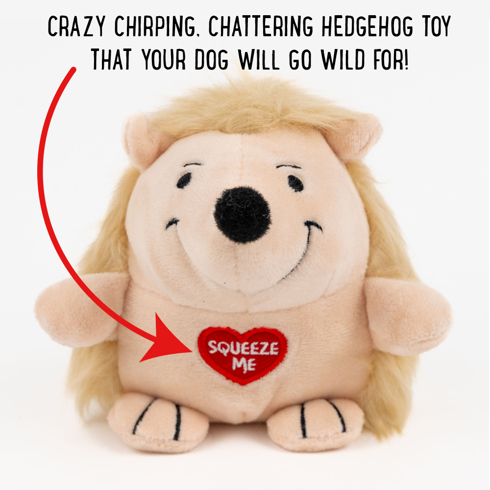 Image of Limited Time Offer- CRAZY Chirping Chattering Hedge Hog Dog Toy - Your Pup Will Go WILD !