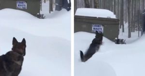 snow rescue
