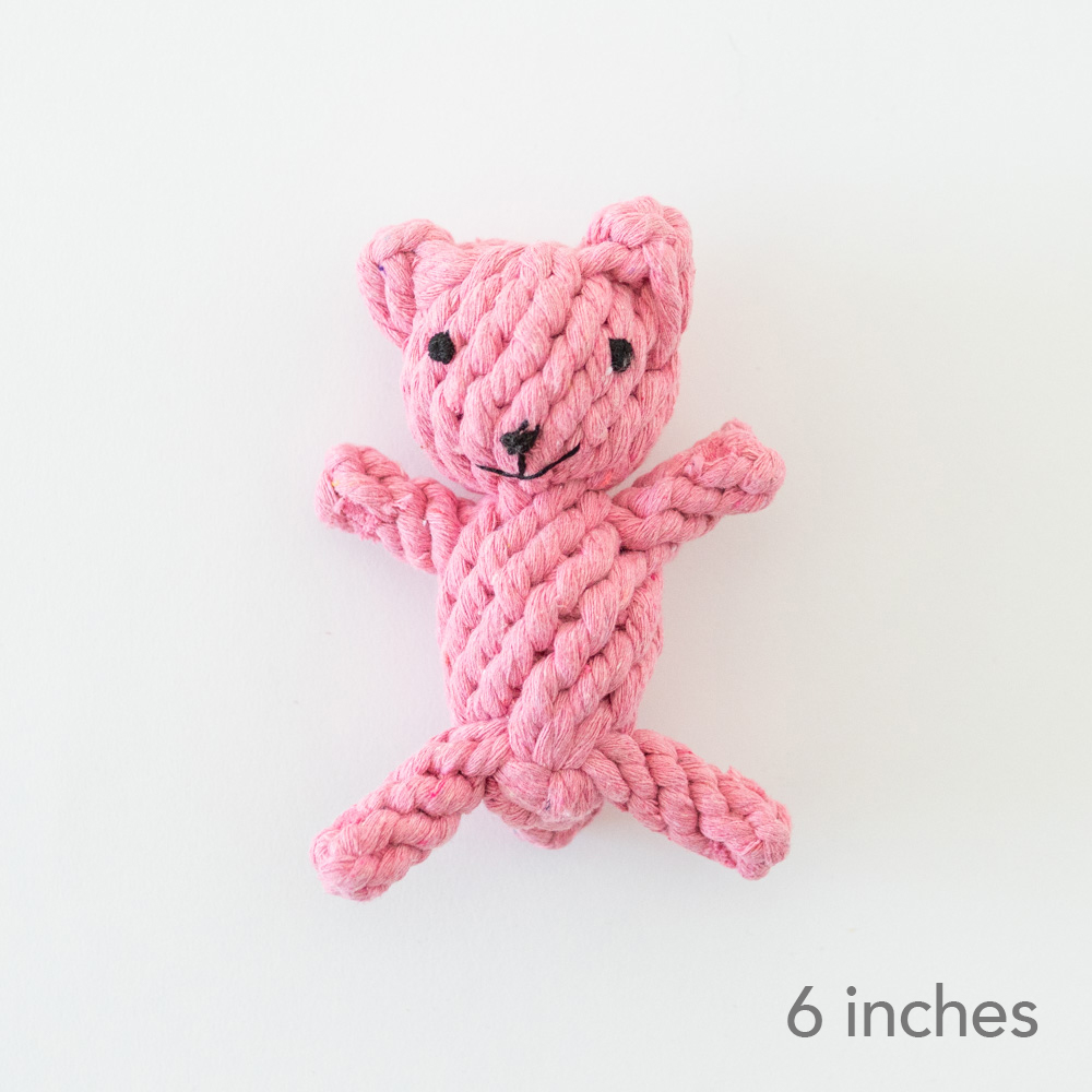 little pink teddy bear