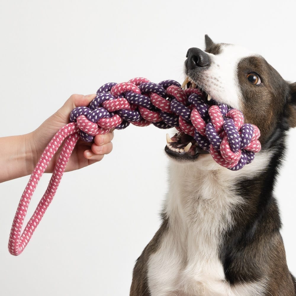 Jumbo Game Time Stick Rope Toy