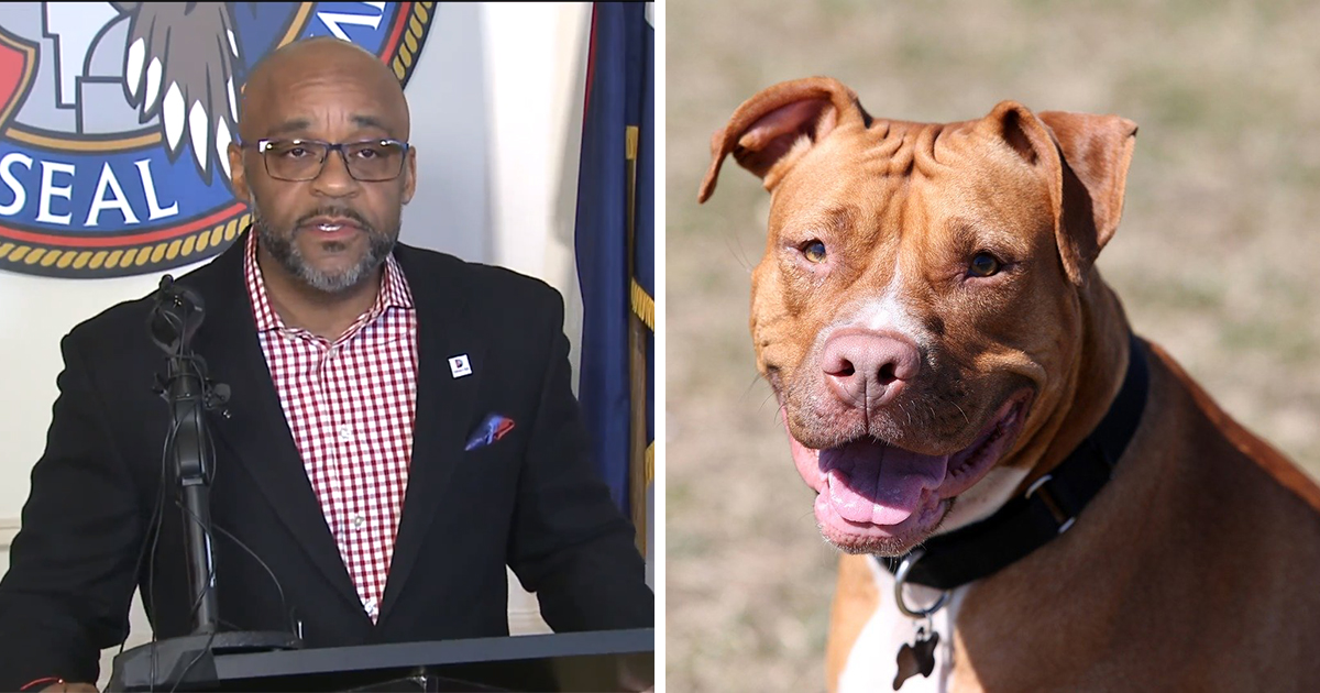 Denver Mayor Overturns New Law Allowing Pit Bulls