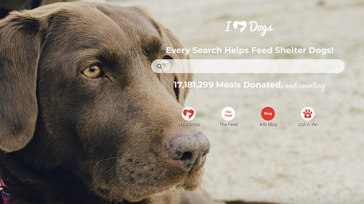 Use Google Chrome? This Little Trick Will Donate to Animal Rescues Every  Time You Do a Search
