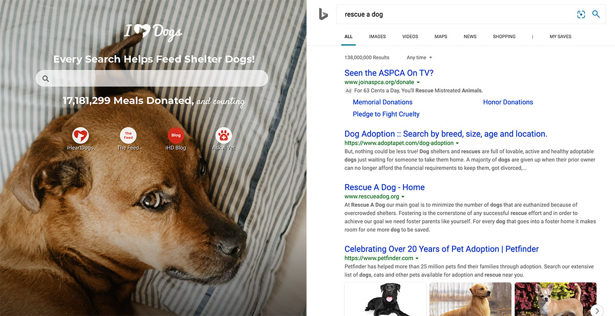 Software Company Invents Genius Way To Save Shelter Dogs Every Time You Do  An Internet Search