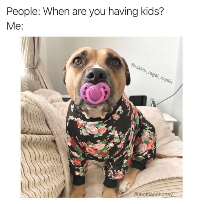 18 Memes That All Dog Parents Will Laugh At