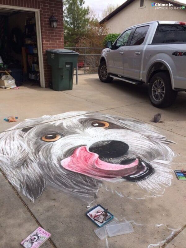 Teacher Creates Beautiful Dog Chalk Art During Quarantine