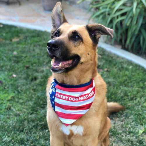 Every Dog Matters Patriotic Bandana- Deal 90% Off!