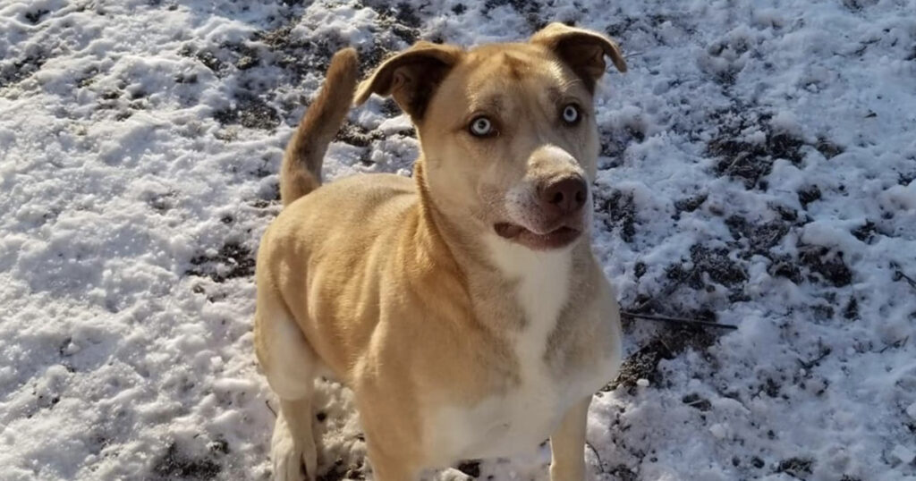 You're Helping Teach Buddy How Good Life Can Be