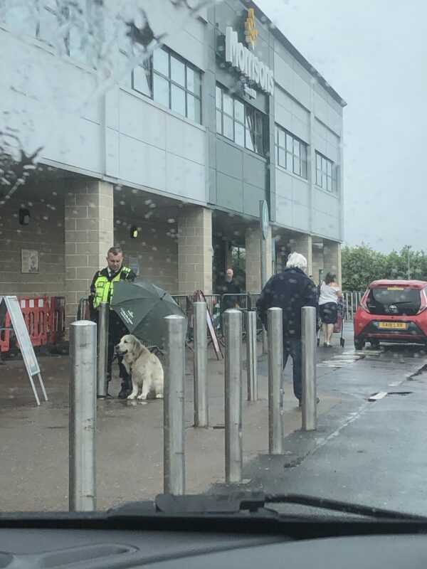 Bảo vệ trở thành anh hùng sau khi bảo vệ chó khỏi mưa