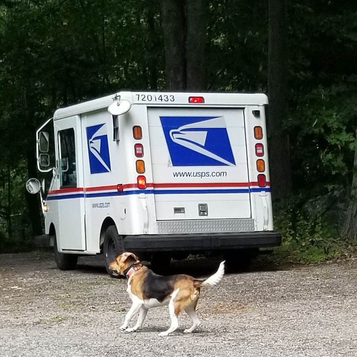 USPS Paw Print Mailbox Stickers Identify Homes With Aggressive Dogs