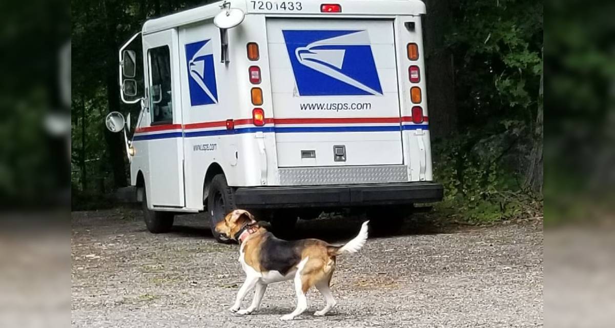 USPS Paw Print Mailbox Stickers Identify Homes With Aggressive Dogs