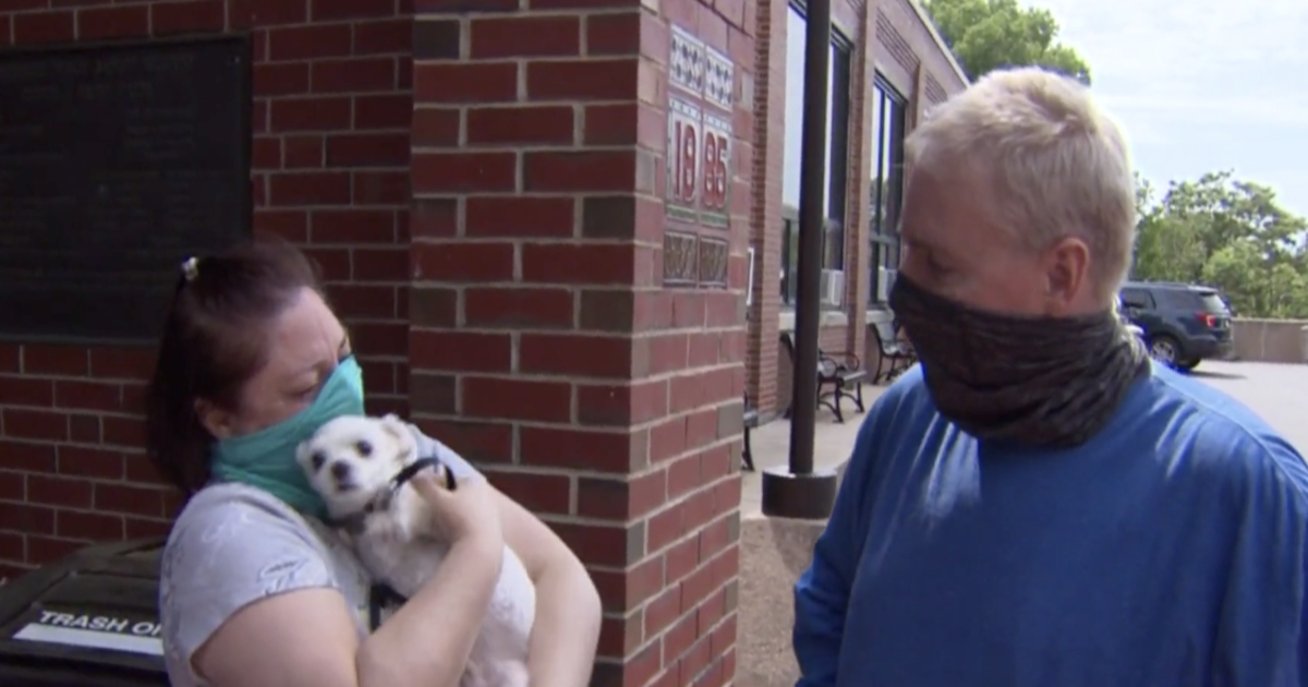 Dog Reunited With Family Only Hours After Car Was Stolen