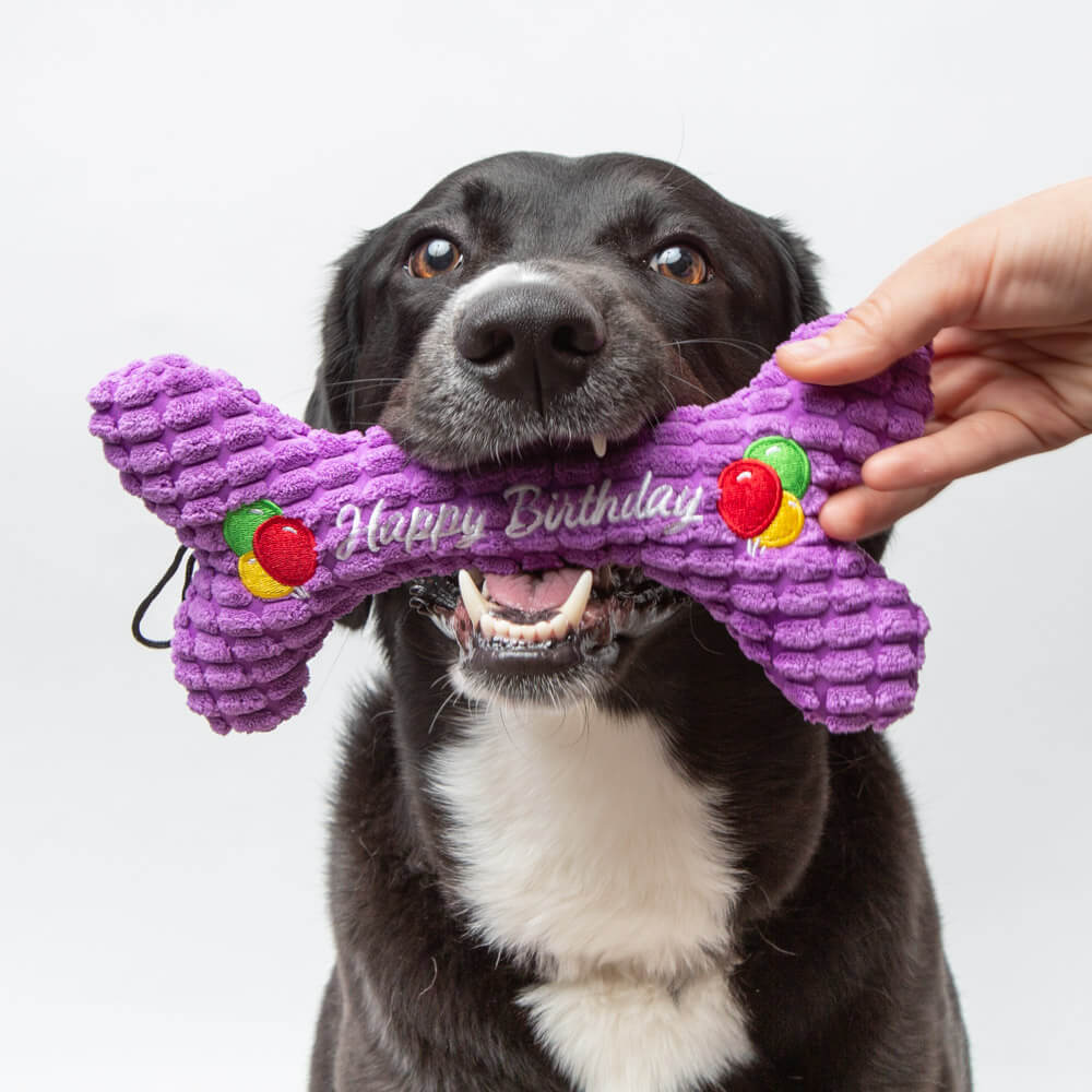 Happy Birthday Bone Plush Toy 🎉