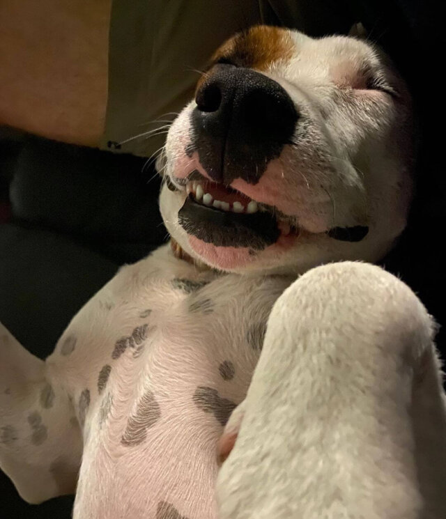 smiling in sleep
