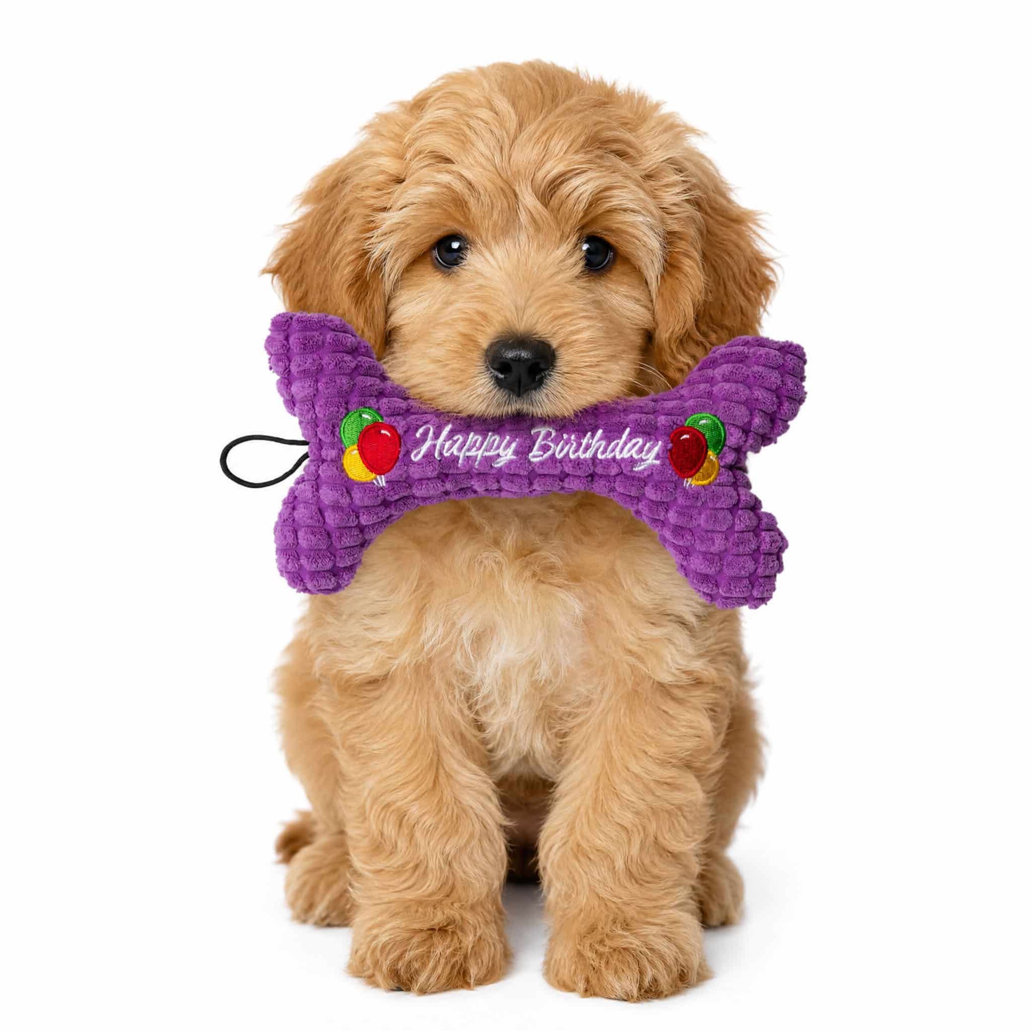 Happy Birthday Bone Plush Toy - Give Your Pup the Perfect Gift that Helps Feed Shelter Dog