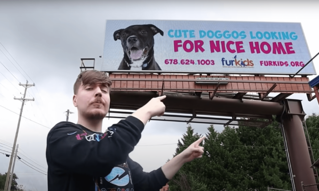 MrBeast Dog Billboards
