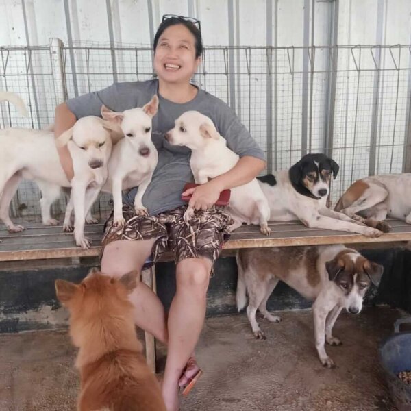 Woman with Shelter Dogs