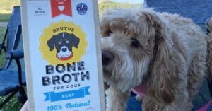 brutus bone broth