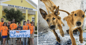 Humane Society of Grand Bahama