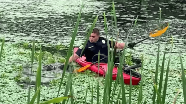 Kayak Dog Rescue