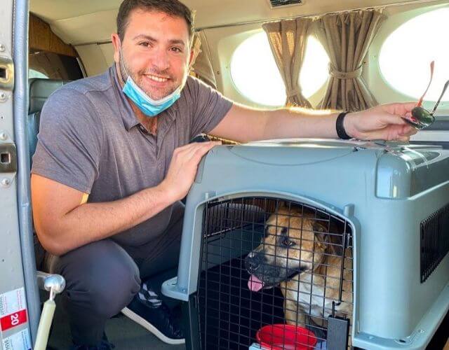 pilot rescues dog