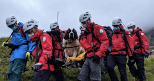 Saint Bernard Mountain Rescue