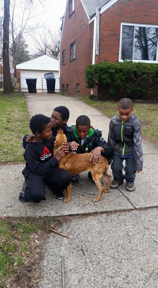 Bốn đứa trẻ đã giải cứu một con chó bị trói một cách tàn nhẫn bằng một sợi dây Bungee