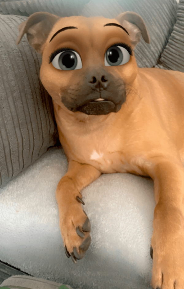 Dog Disney Snapchat Filter