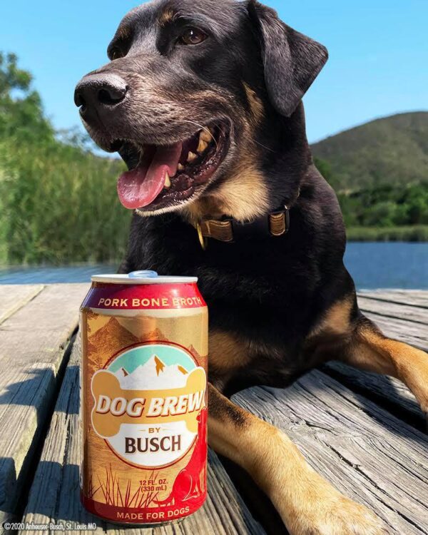 Busch Dog Beer