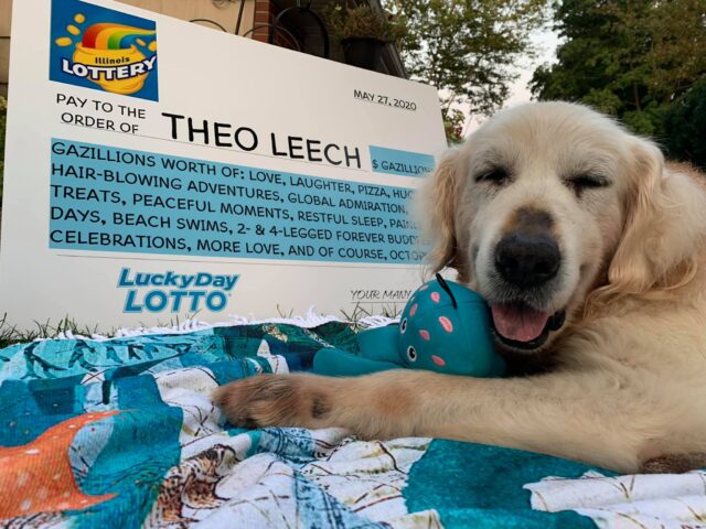 Dog Wins Lottery