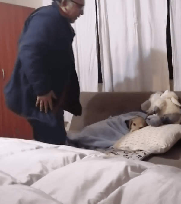Dad and Dog Bedtime Routine