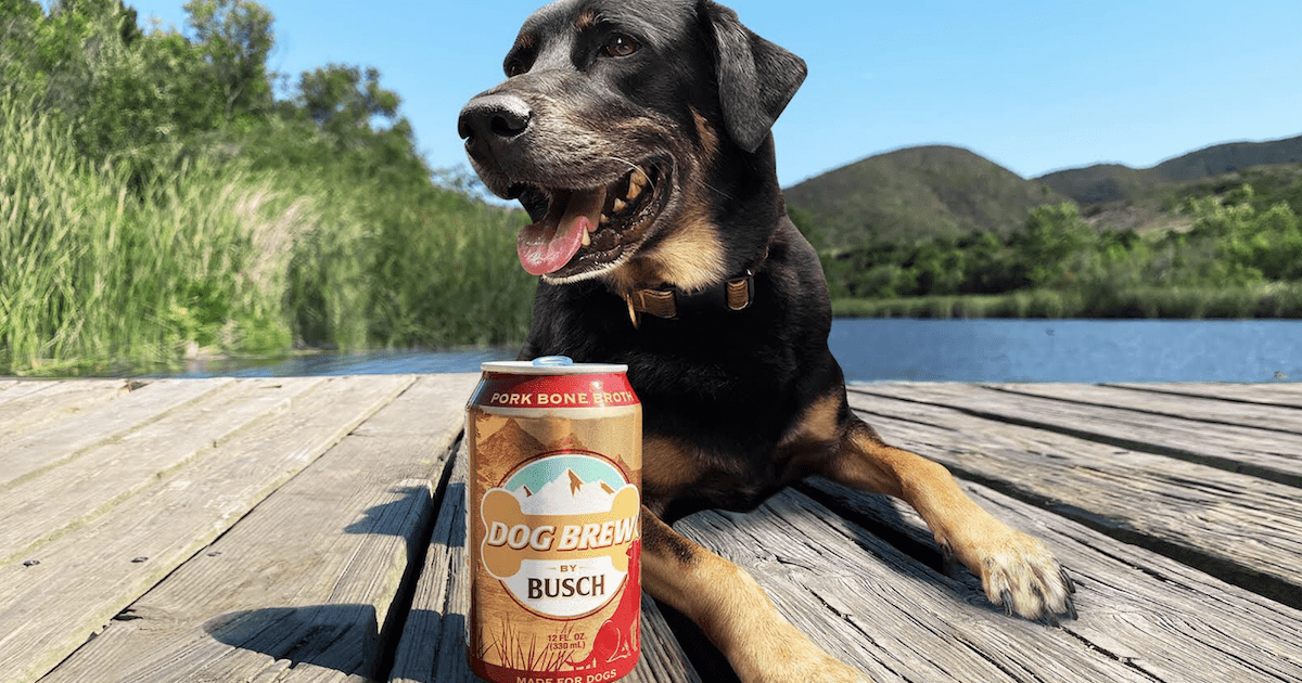 Beer for Dogs