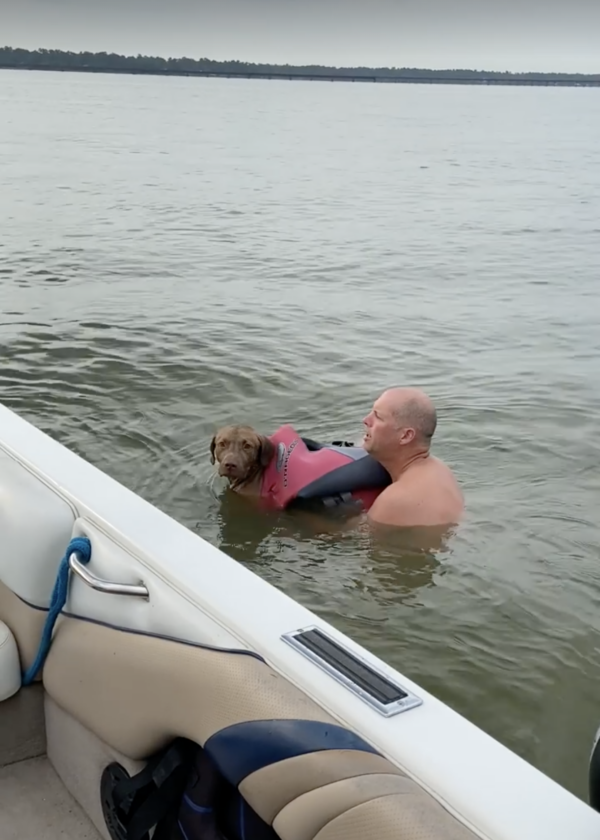 Dog Lake Houston Rescue