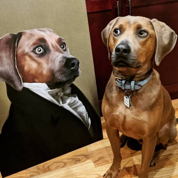 Nervous Dog Portrait