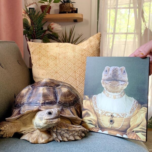 Silly Tortoise Portrait