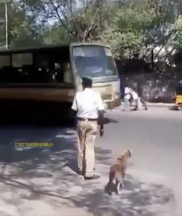 Traffic Cop and Dog