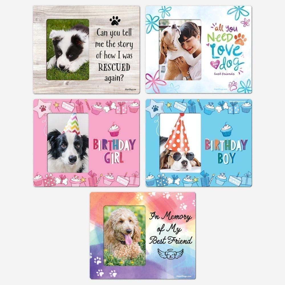 A Dog S Story Picture Frame Magnet Collection 5 Piece Set Deal 70 Off