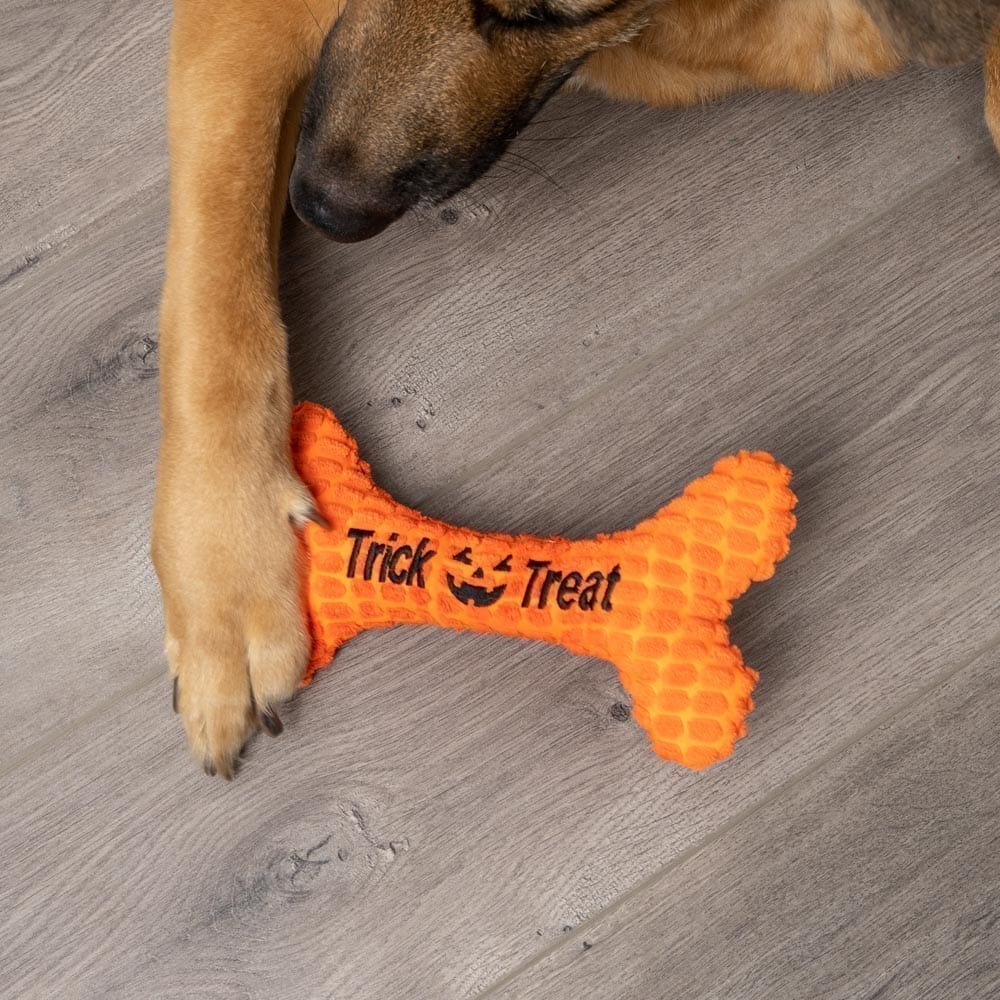 Trick or Treat 🎃 Bone Plush 10" Toy - Image 3