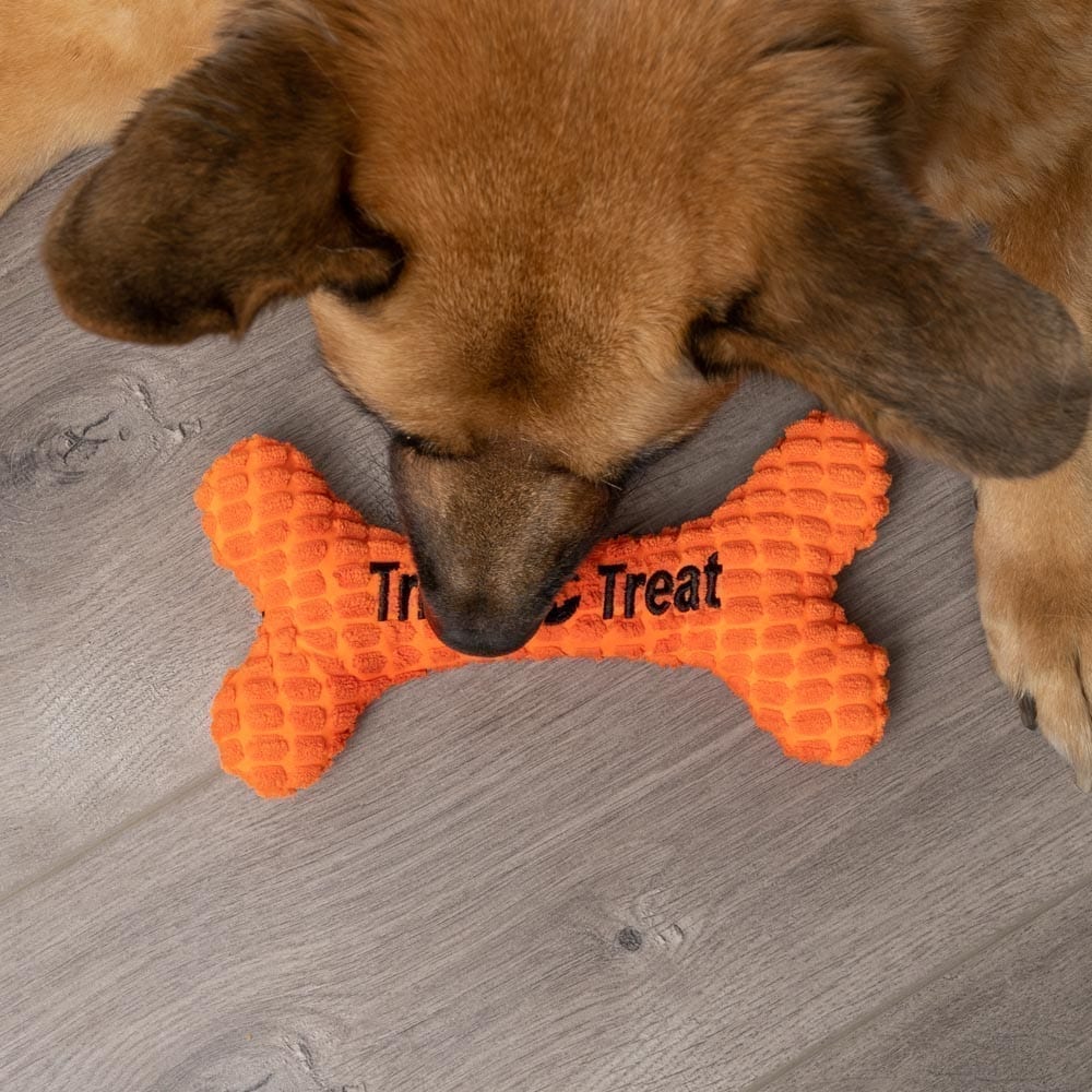 Trick or Treat 🎃 Bone Plush 10" Toy - Image 4