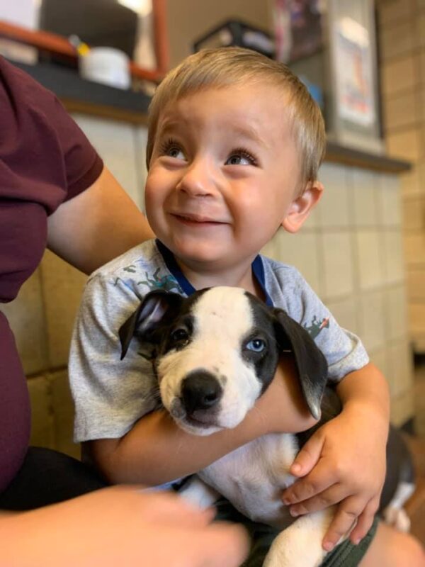 Boy and His Puppy