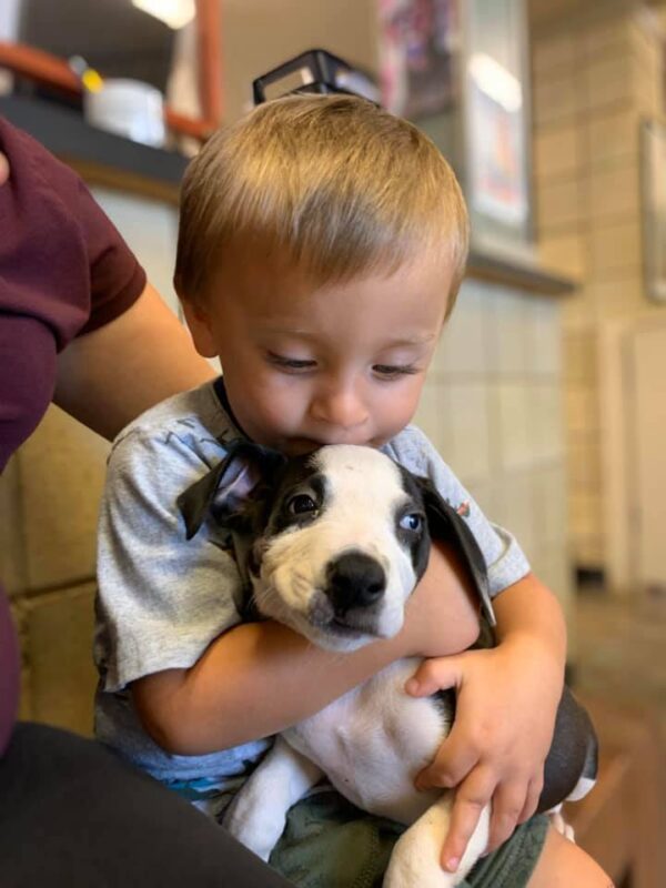 Boy Hugging Puppy