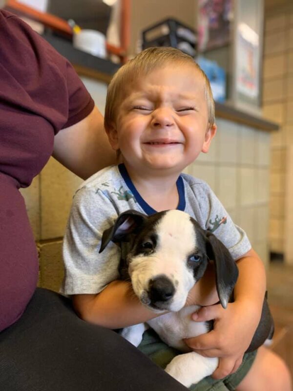 Happy Boy Hugging Puppy