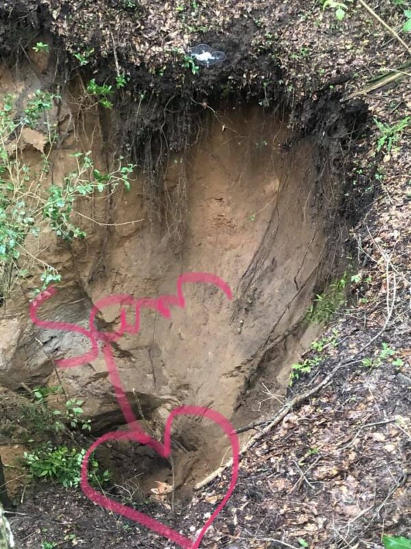 Dog trapped in sinkhole