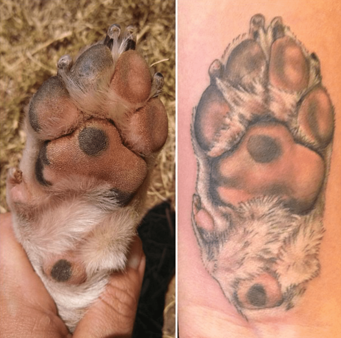 paw tattoo