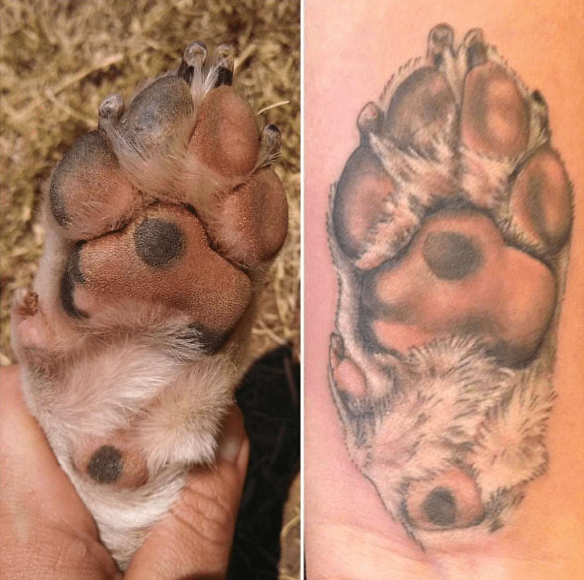 23 Surprisingly Sweet Stunning Paw Print Tattoos