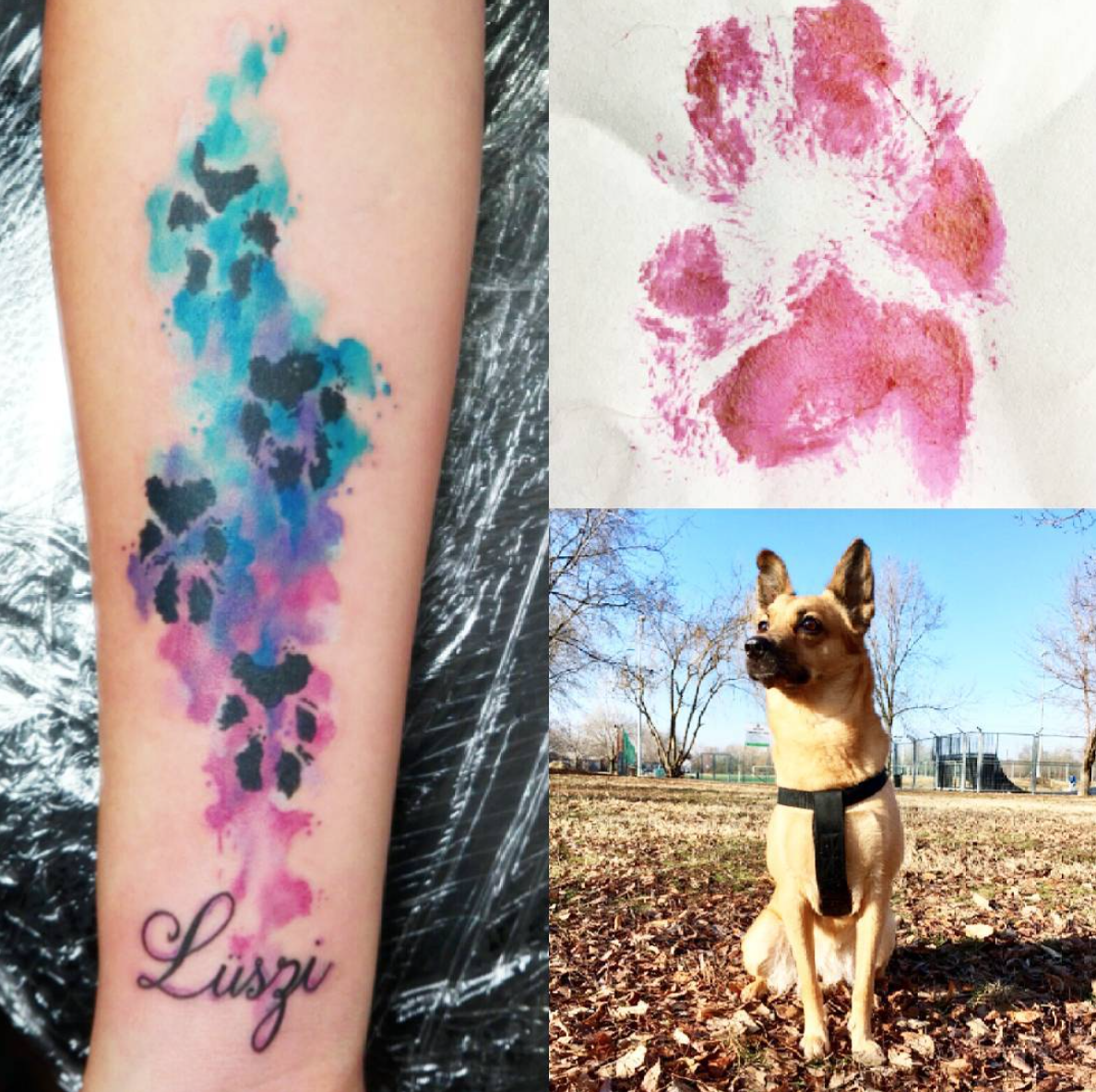 dog paw print tattoo designs