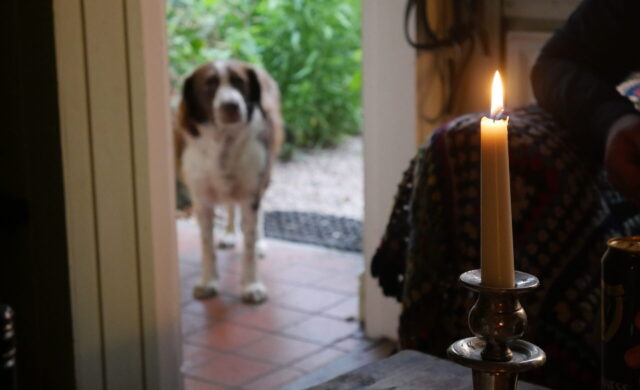 Lit candles can be a danger to dogs in the fall.