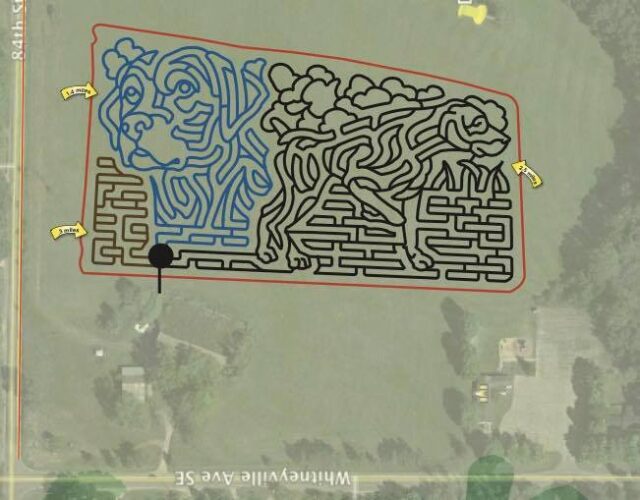 Dog corn maze plans