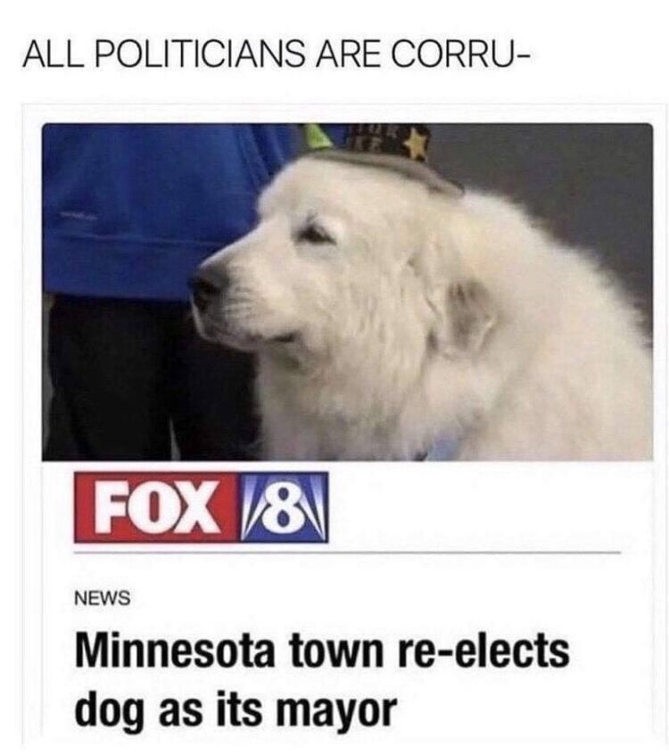 Dog mayor