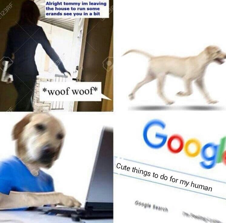 Dog Searches Google