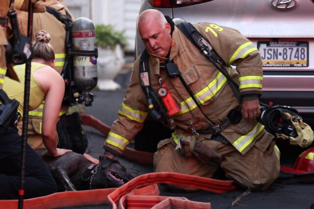 Firefighters Rescue Dog